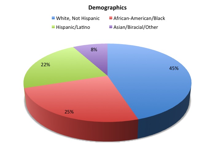 Demographic Pie Chart