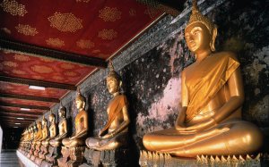 row-of-golden-buddhas-bangkok-thailand_1680x1050_74042